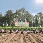 Penanaman Jagung Serentak Kuartal III di Jember, Dorong Pemanfaatan Lahan Perhutanan Sosial