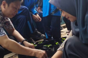 SMPN 6 Pemalang Tumbuhkan Karakter Peduli Lingkungan Kepada Siswa Tanam Cabai dan Budidaya Lele
